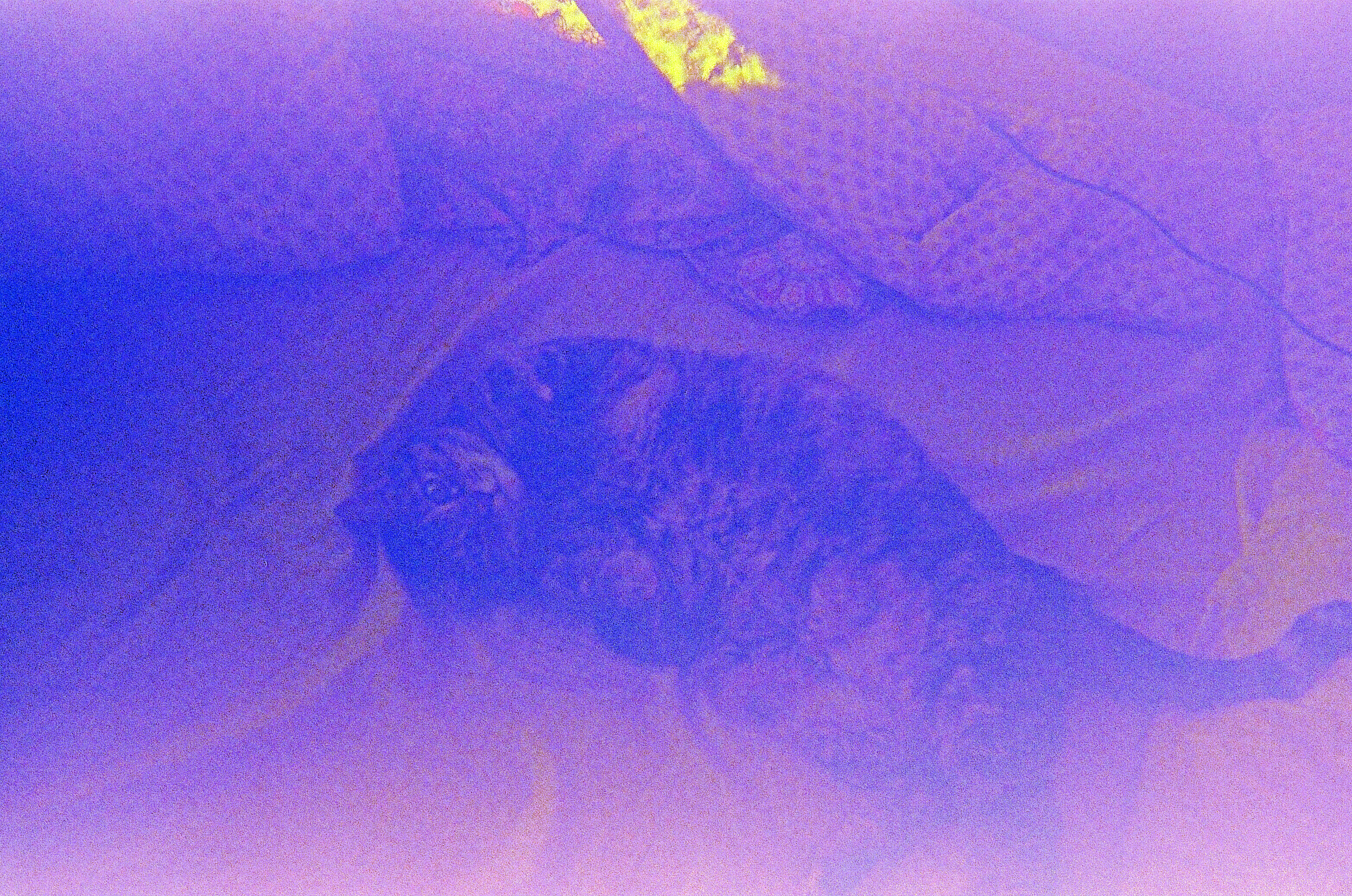 Foggy, purple-hued picture of a fat tabby laying on a bed displaying its stomach.