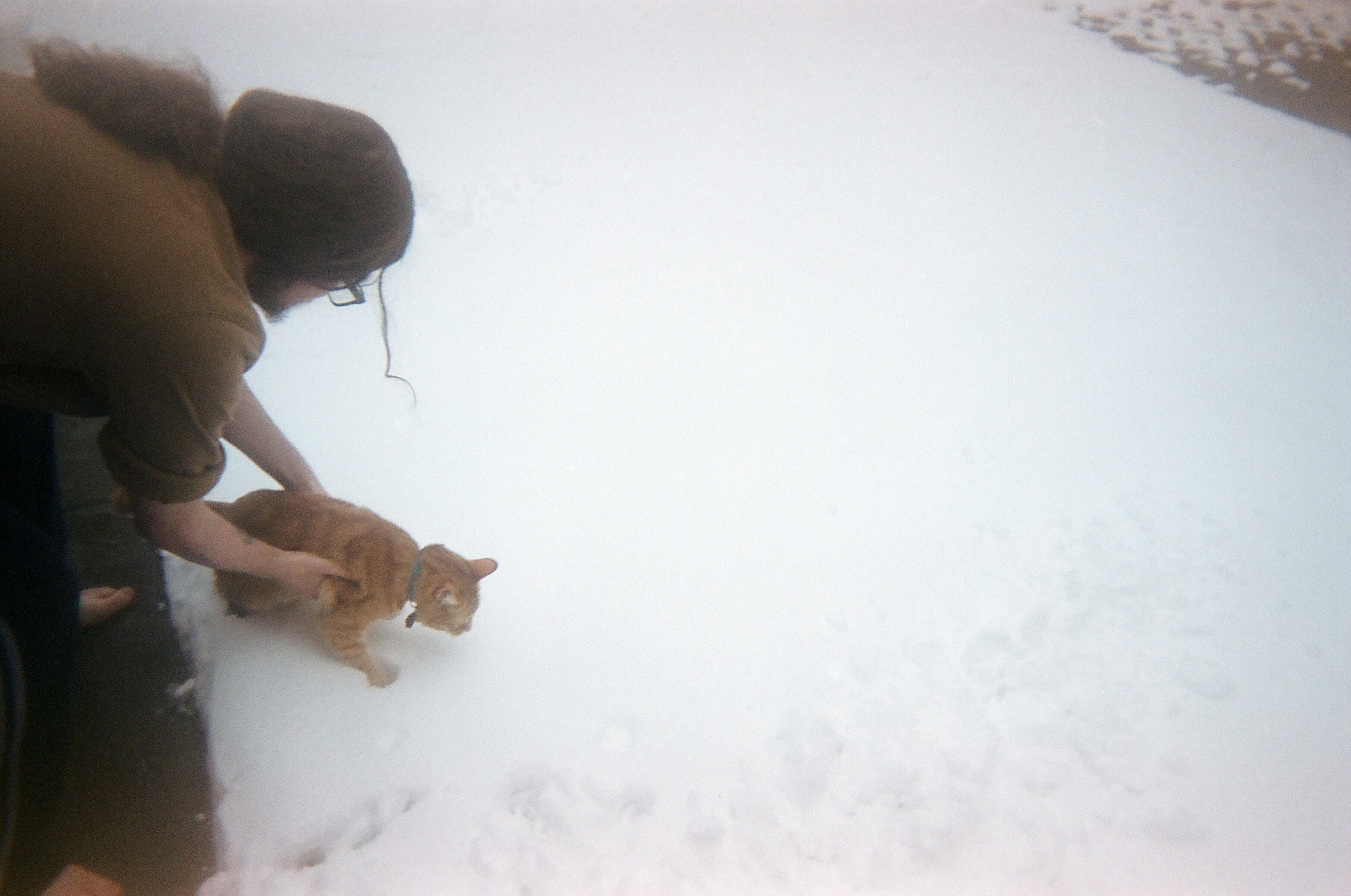 A white man with long brown hair in a loose pony tail sets down a skinny orange tabby into the snow-covered ground.