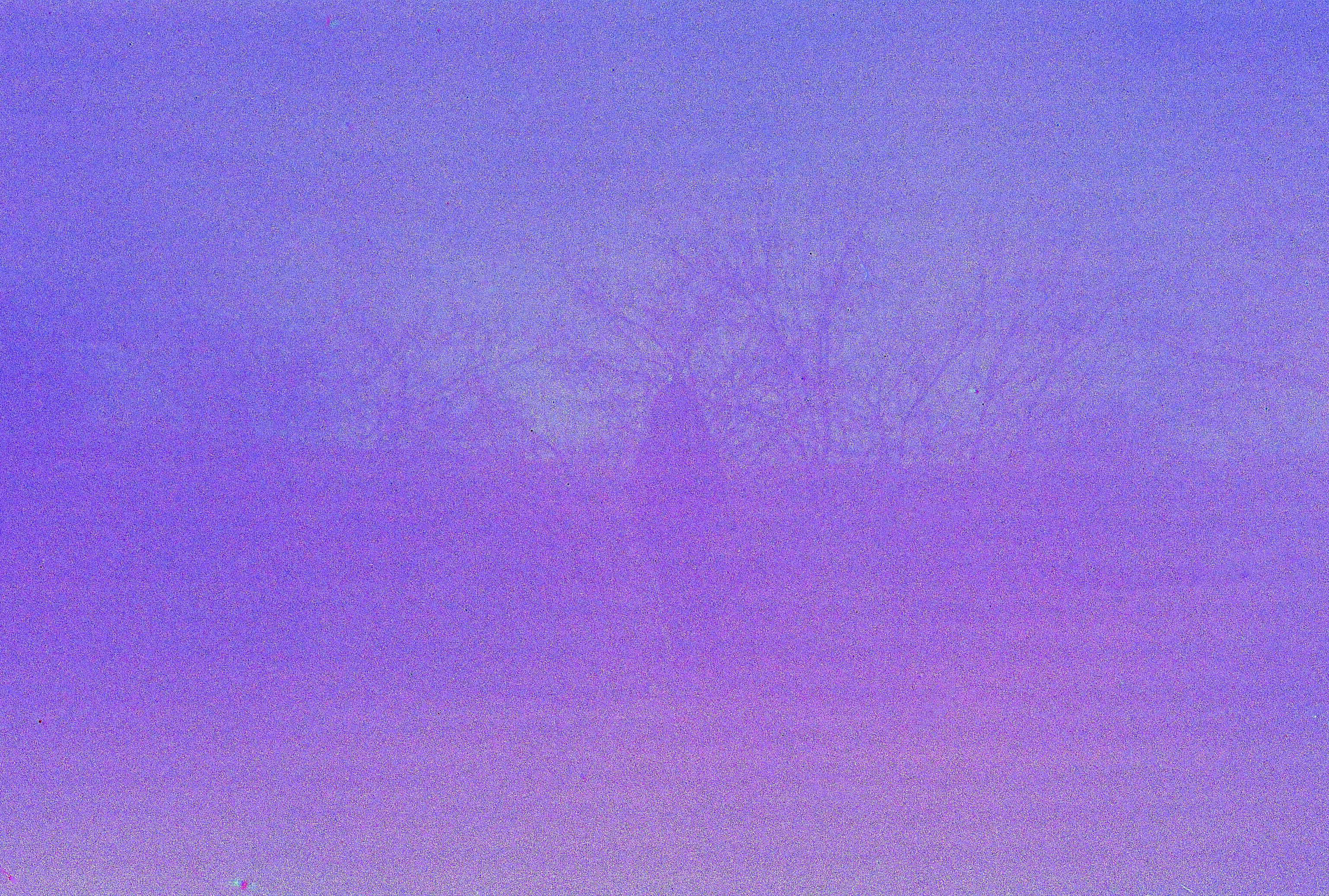 Dim, foggy purple hued photo of a man standing in the distance facing away from the camera. Bare trees can be seen in the background.