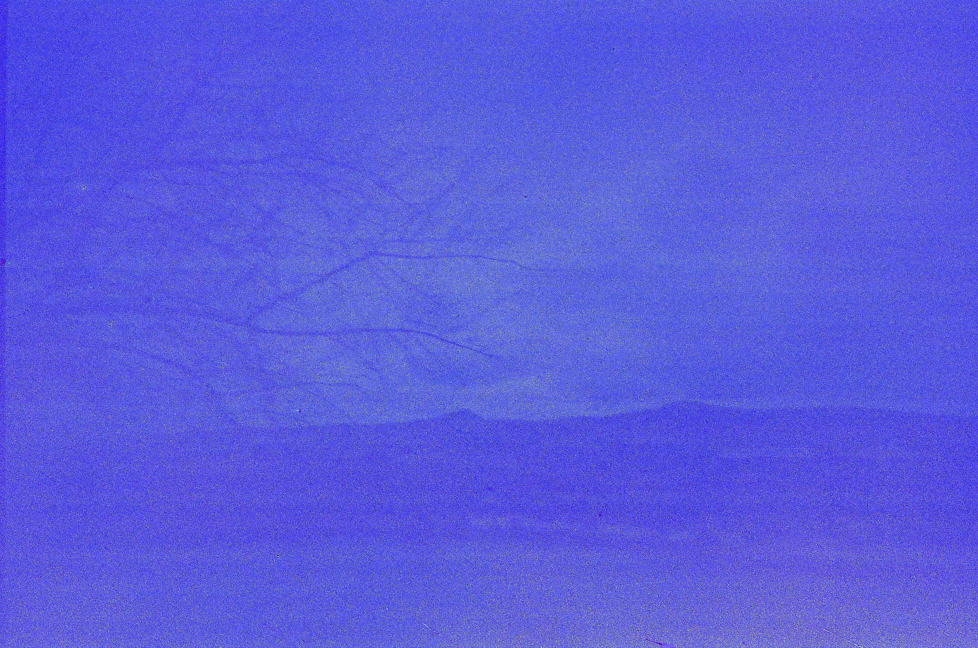 Dim blue picture of a landscape on a cloudy day. The left half of the frame is taken up by a tree.