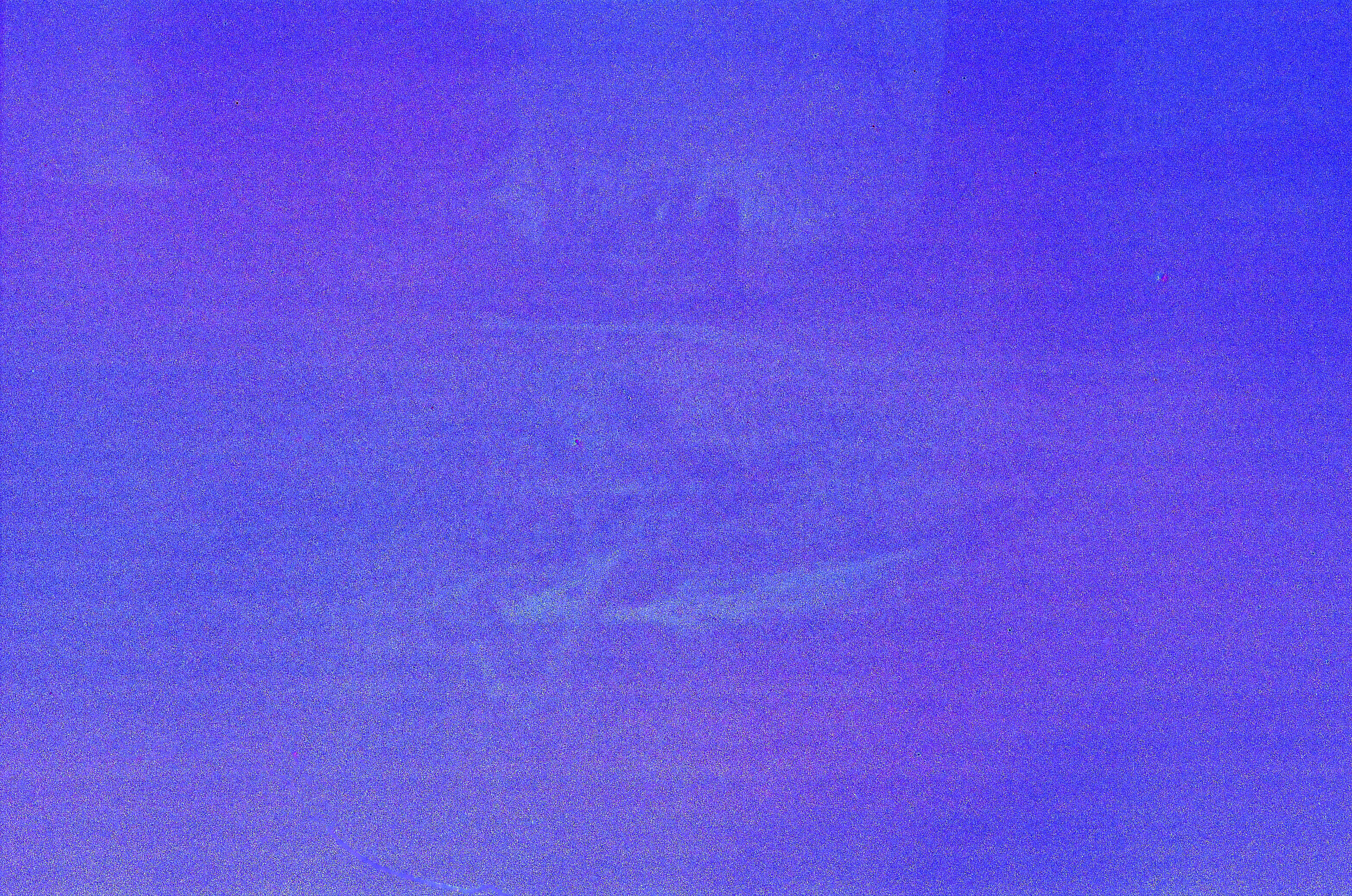 Purple fogged picture of a pidgeon's skeleton and remaining wings.
